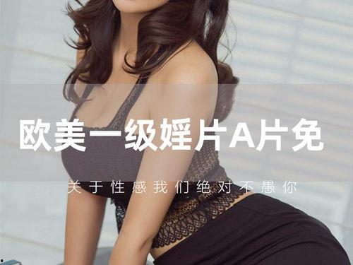 一级黄片免费视频,暗流涌动的网络迷局