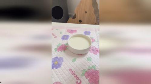 喝奶瓶的视频,宝宝喝奶瞬间捕捉