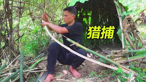 砍竹子机器视频,机器砍竹子视频深度解析