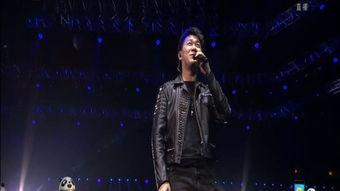 高进演唱会视频,激情旋律与粉丝共鸣瞬间