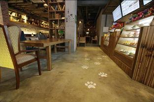复古漆地面施工视频,传承经典,焕新空间