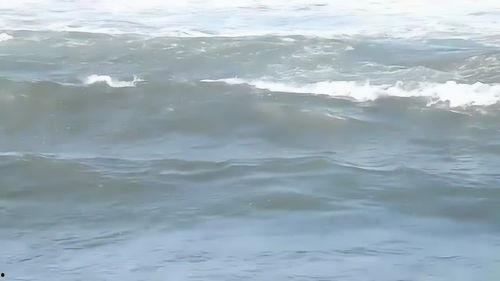 海浪声视频,一场视觉与听觉的海洋之旅