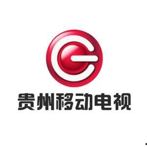 贵州卫视频道,传承文化,展现多彩贵州魅力