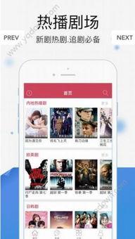 91在线视频app,畅享海量影视资源，打造您的私人观影天地