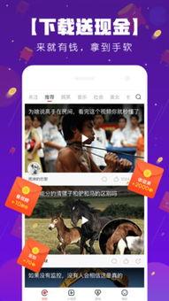 波波视频黄,揭秘短视频平台的魅力与挑战