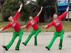 美了美了广场舞教学视频,轻松入门,舞动健康生活