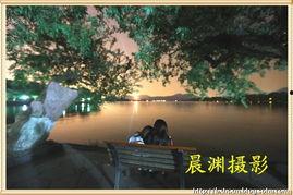 西湖视频,视频中的诗意画卷