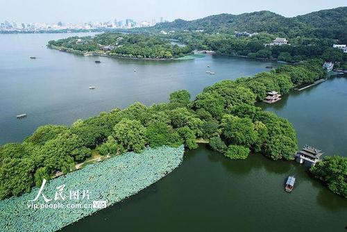 西湖视频,视频中的诗意画卷
